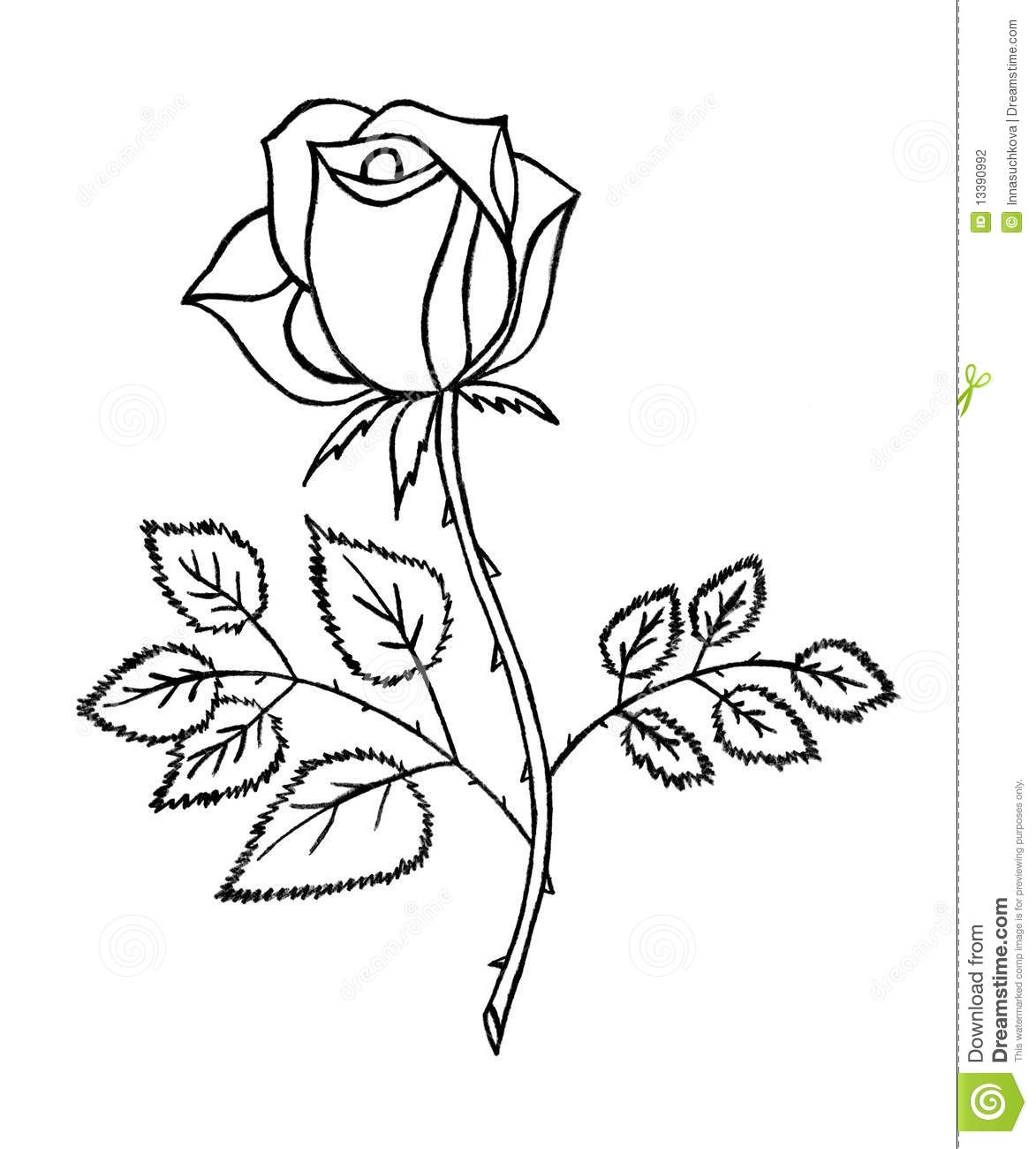 1173x1300 Flower Drawing Archives