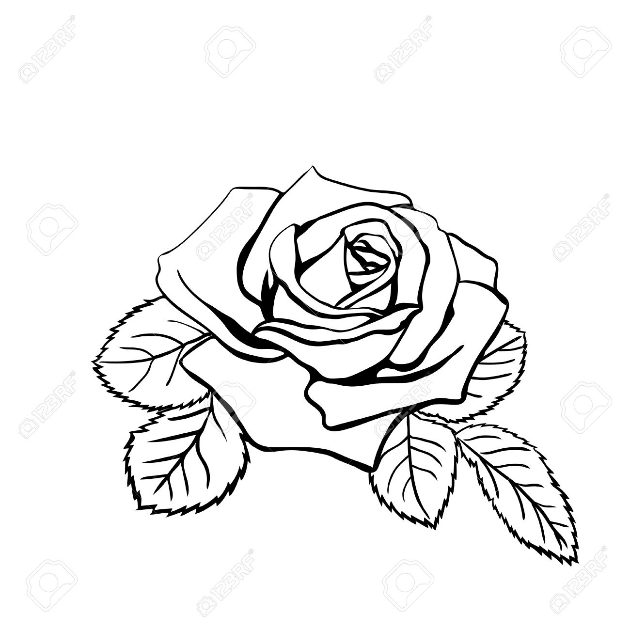 1300x1300 Head And Roses Tattoo Stock Photos. Royalty Free Business Images