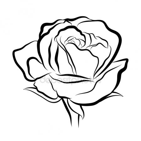 450x450 Rose Tattoo Stock Vector Navsekaya