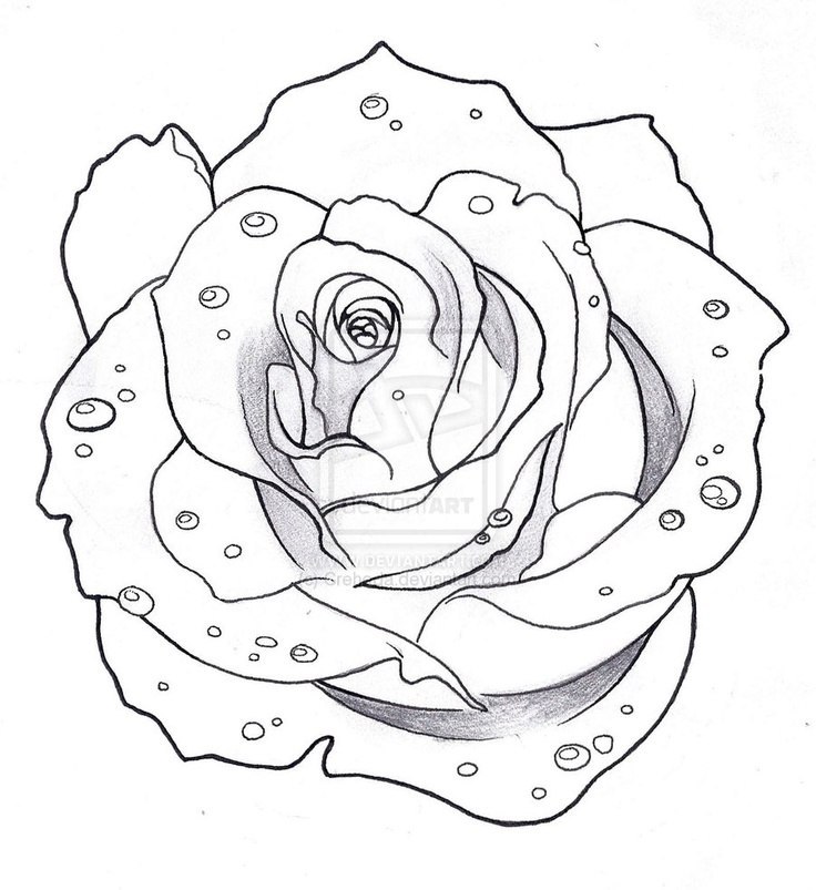 736x803 Shoulder Rose Tattoo Design Best Tattoo Designs