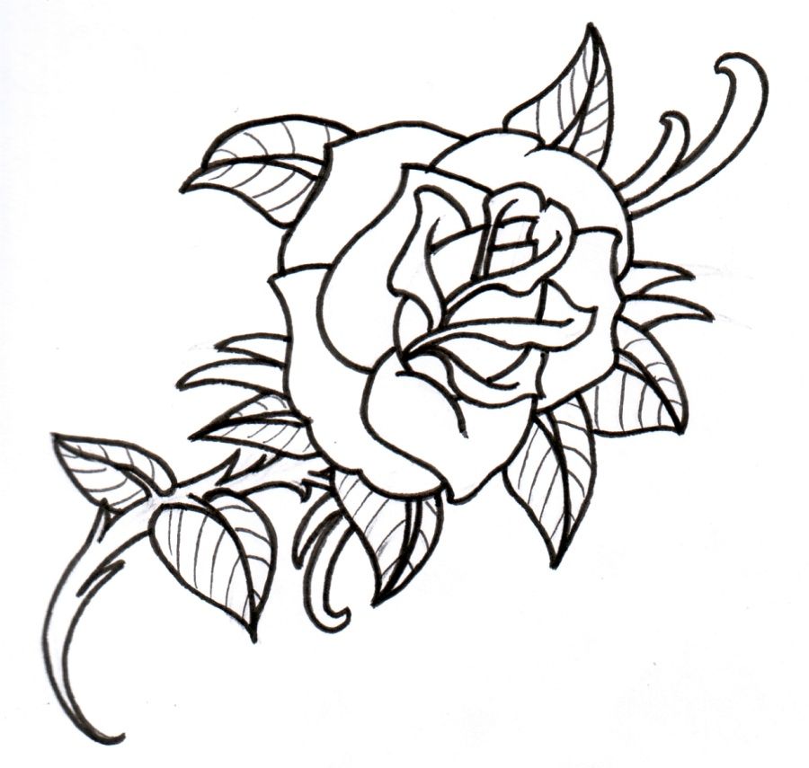 900x855 Rose Tattoo Outline Tattoo Designs Tattoos