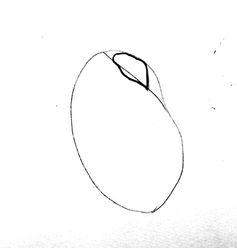 478x500 How To Draw A Rose