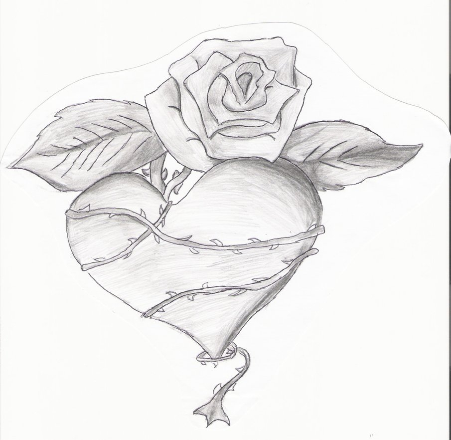 905x882 Drawing Of A Rose And Heart