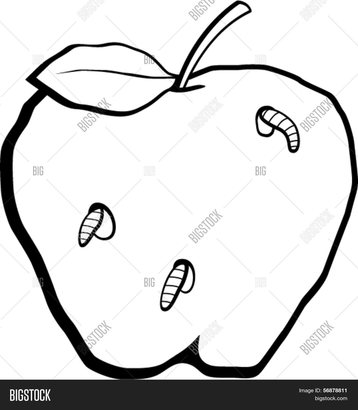 1416x1620 Rotten Apple Vector Amp Photo Bigstock
