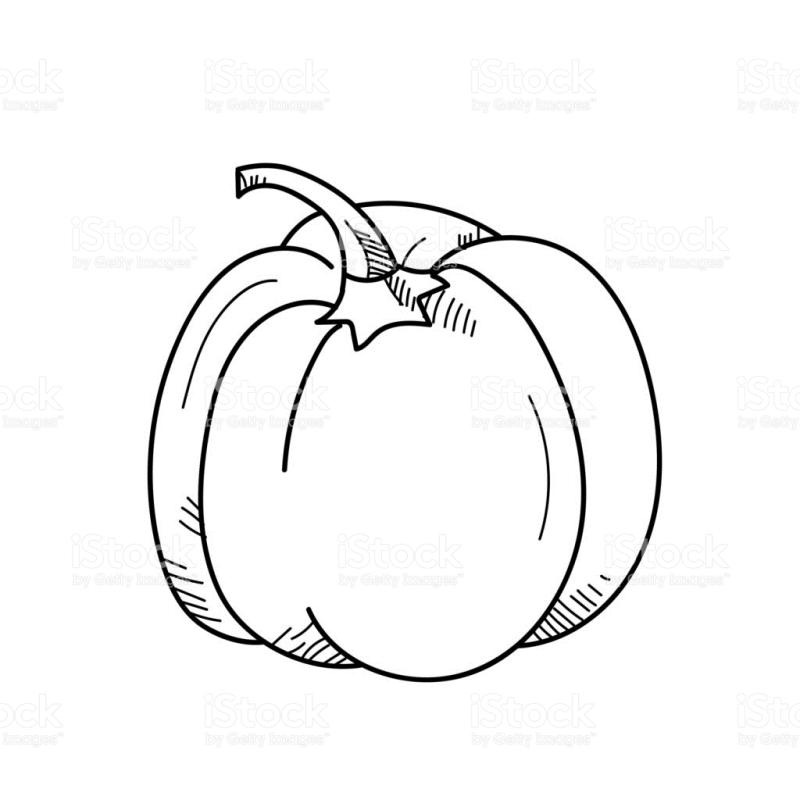 800x800 Vegetable Drawings Clip Art