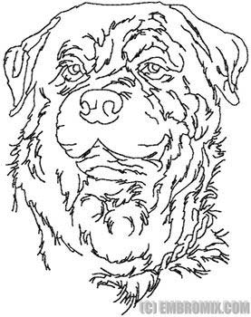 277x350 Animals World