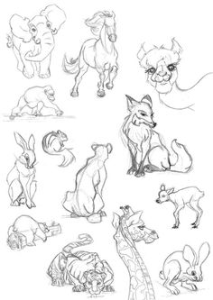 236x333 Monkey's Head Pencil, Drawing, Rough, Sketch, Sketchbook, Animals