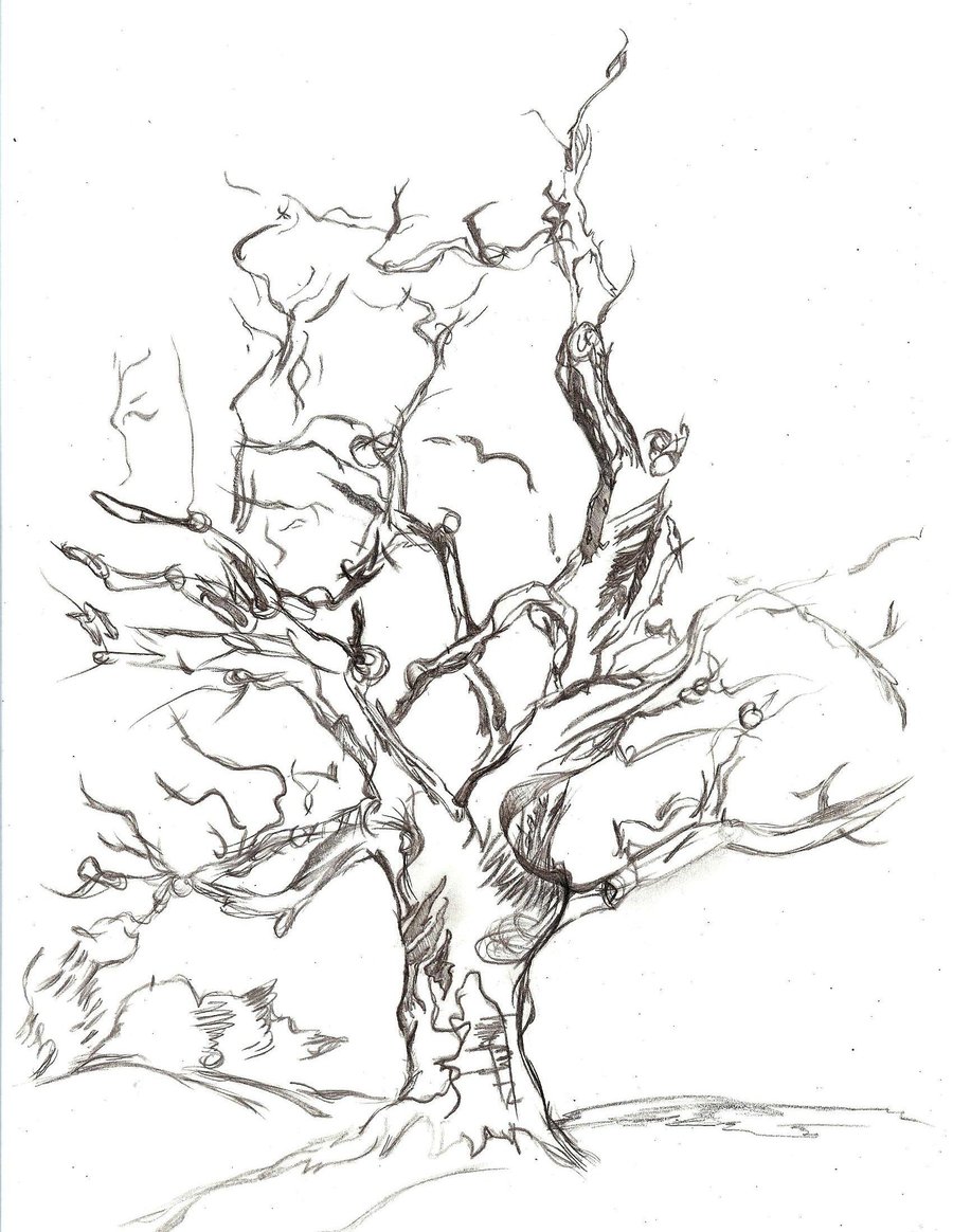 900x1164 Tree Rough Sketch By Misunderstoodv