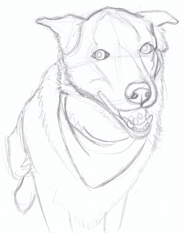 367x464 Sketch American Dog Blog