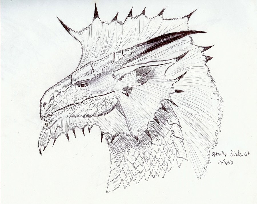 900x716 Dragon Rough Sketch 2 By Gothicalchemist7x