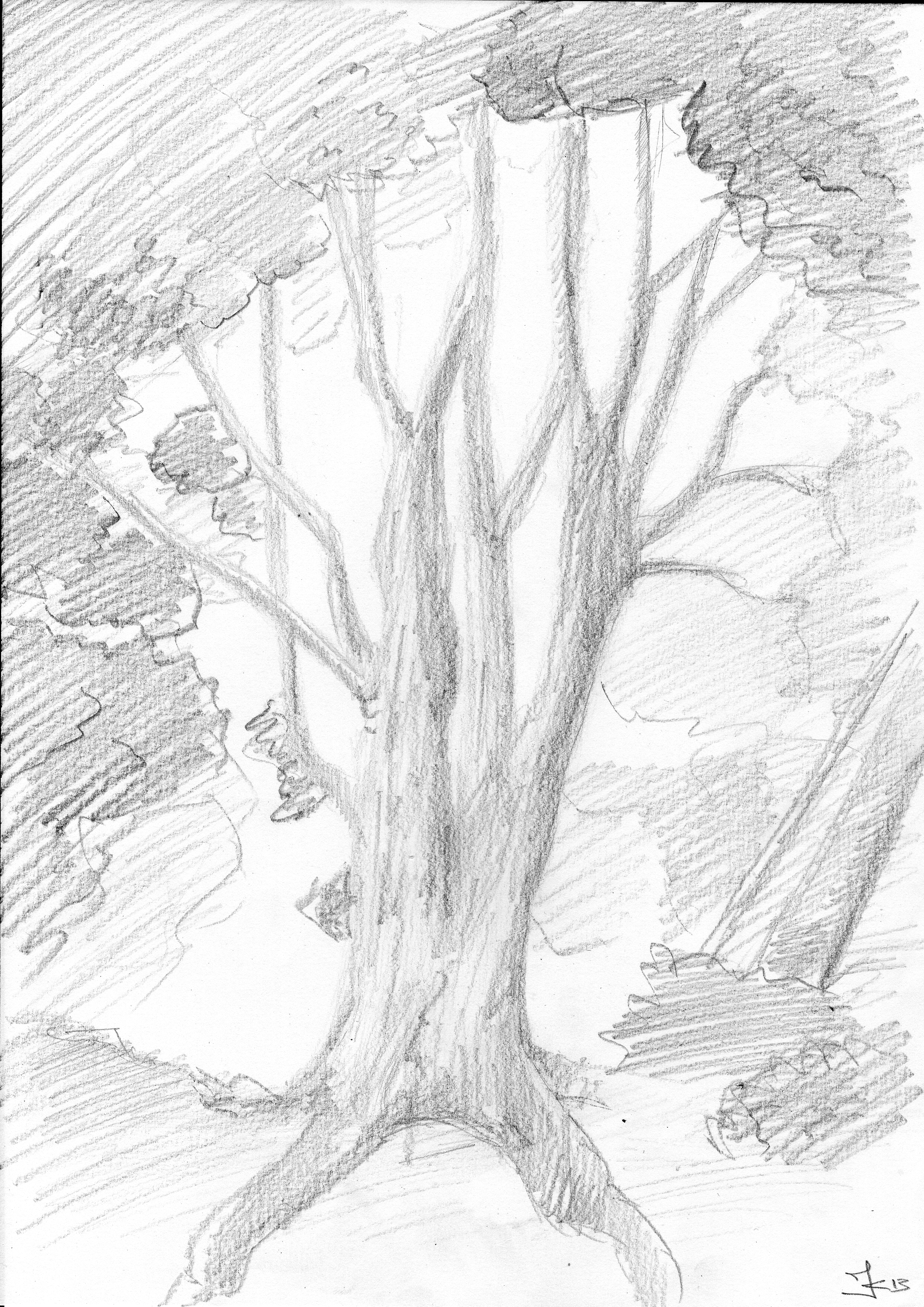 2480x3507 April 2013 Jaidan Cheah Bct13021