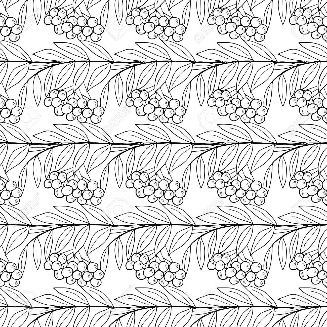 1300x1300 Seamless Sketch Of Rowan With Berries Clipart Royalty Free