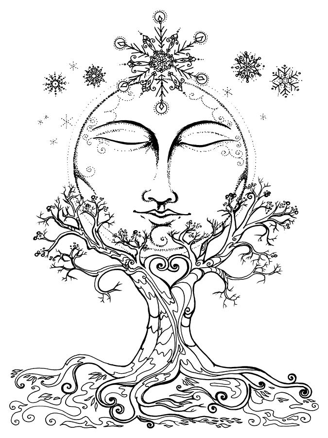 675x900 Snow Moon And Rowan Tree Photograph By Katherine Nutt