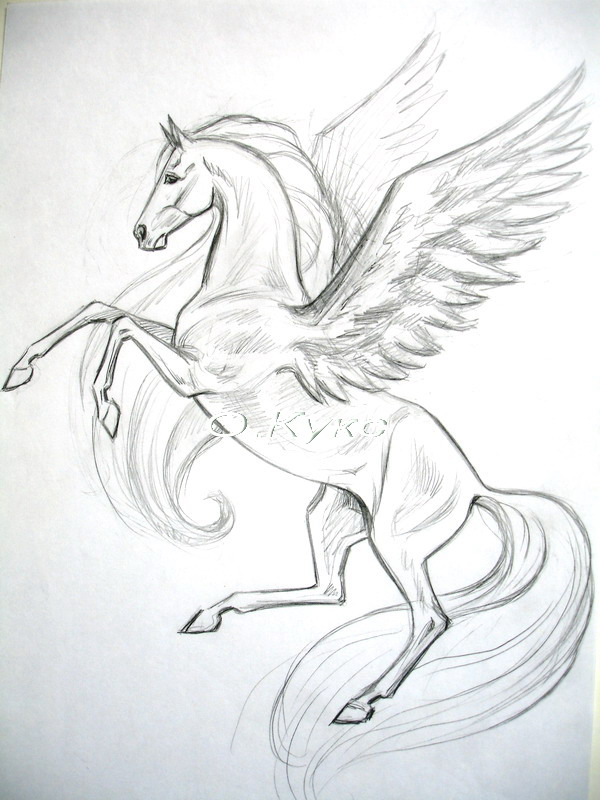 600x800 Horse. (Horse, Painter)