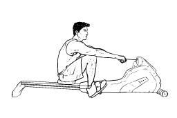 256x171 Cardio Rowing Machine Universal Health Amp Fitness