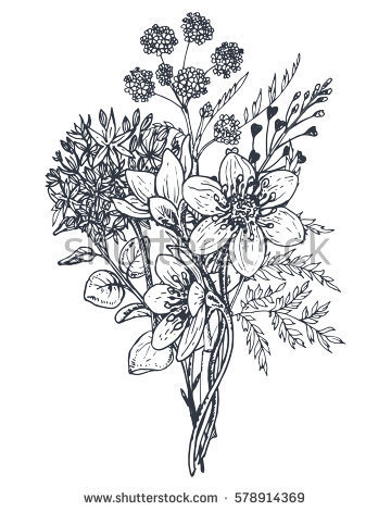 360x470 Flower Bouquet Drawings Flower Bouquet Stock Images Royalty Free