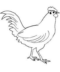 205x246 Cartoon Chicken Step By Step Drawing Lesson Cartoon Drawings