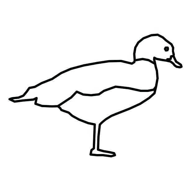 615x615 Duck Outline Drawings Best Collection Coloring Pages