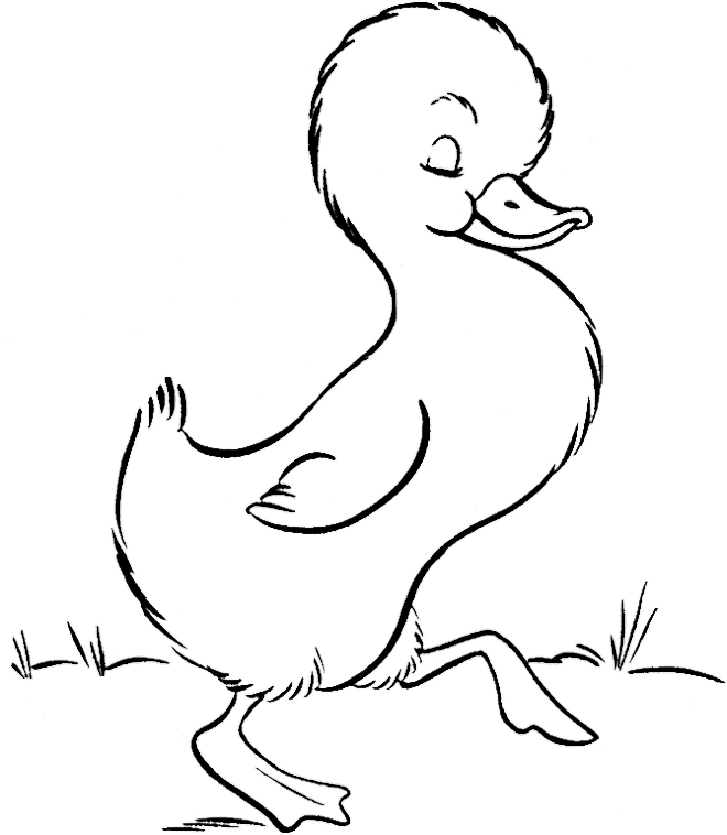 660x758 Rubber Duck Coloring Pages