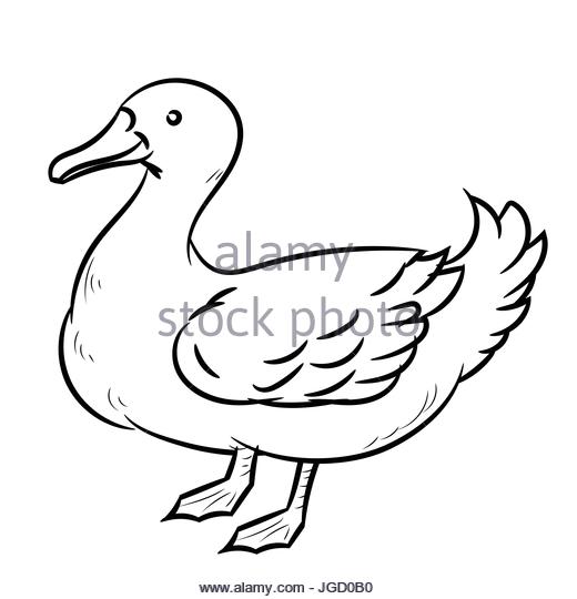 520x540 Rubber Duck Vector Vectors Stock Photos Amp Rubber Duck Vector