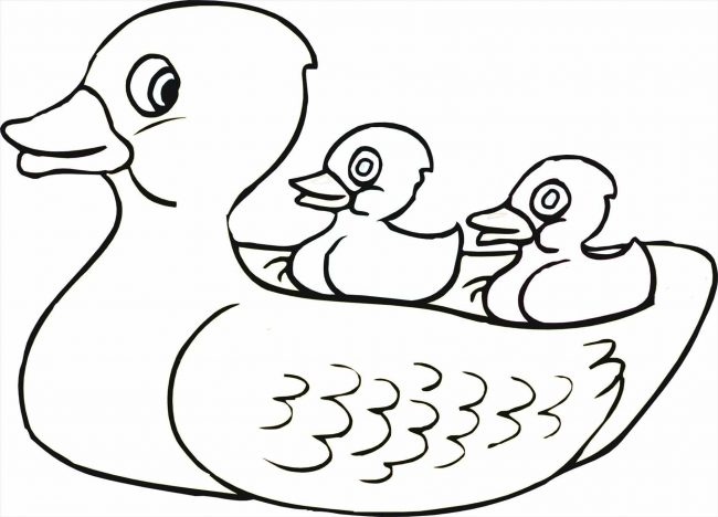 650x468 Rubber Duck Coloring Pages