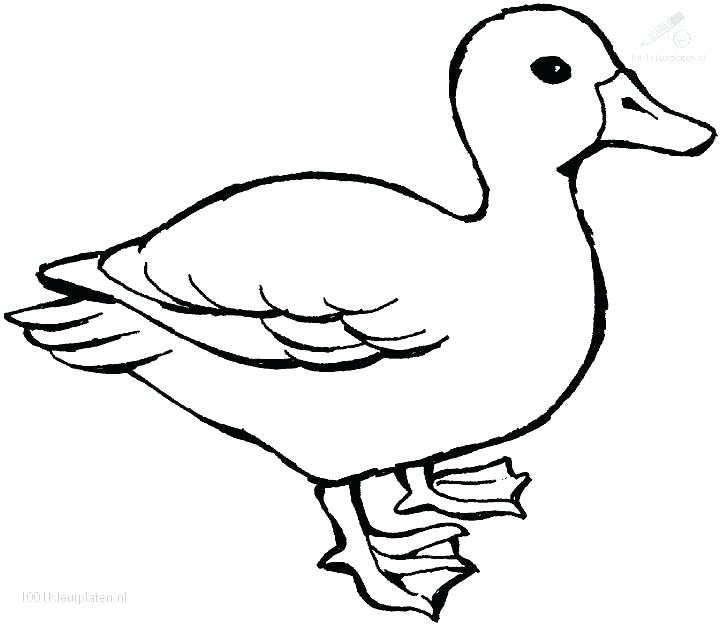 720x625 Rubber Duck Coloring Page Ducks Coloring Pages Coloring Pages