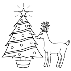 230x230 20 Best Rudolph