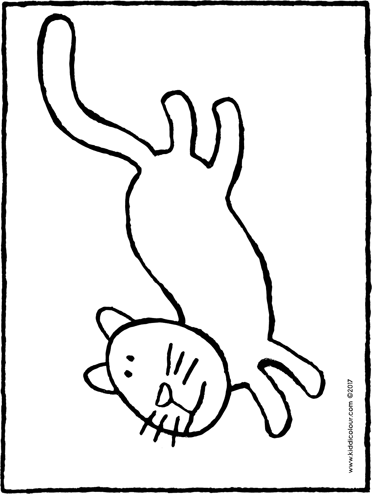 1204x1600 Cat Running Away