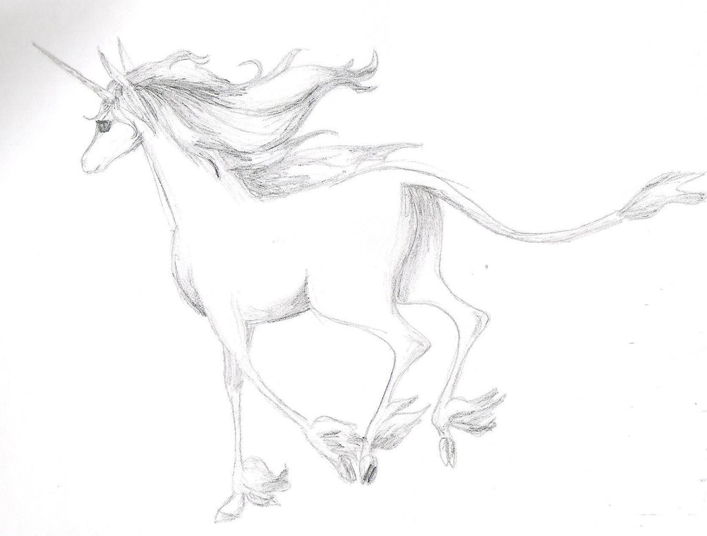1026x779 Last Unicorn Run Away By Bekerah