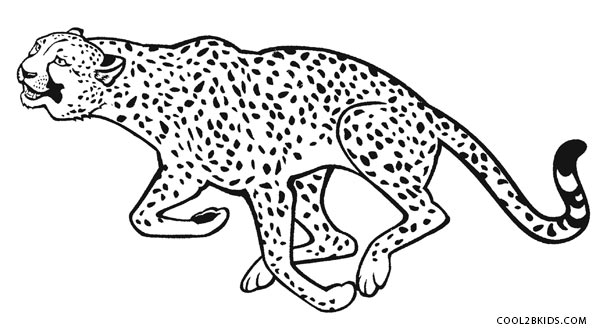 600x333 Printable Cheetah Coloring Pages For Kids Cool2bkids