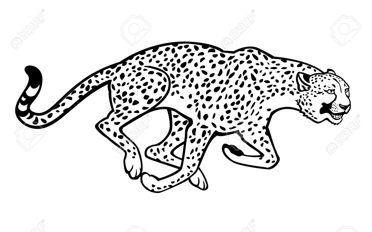 1300x810 Running Cheetah Black And White Horizontal Image Isolated