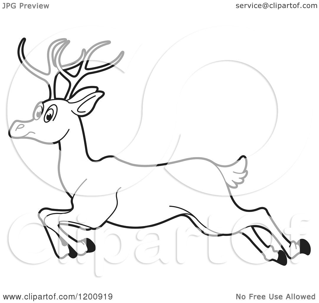 1080x1024 Cartoon Of A Black And White Outlined Running Deer