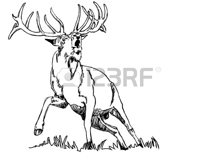 450x318 Vector Drawing Of A Running Deer Royalty Free Cliparts, Vectors