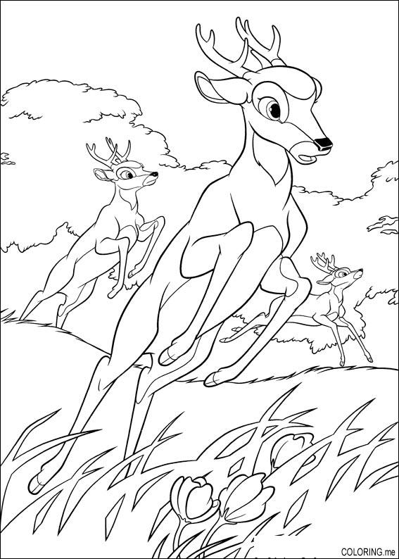 567x794 Deer Running Coloring Pages Realistic Deer Head Coloring Pages