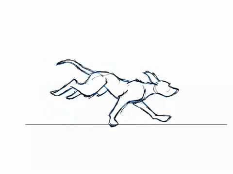 480x360 Dog Run Cycle