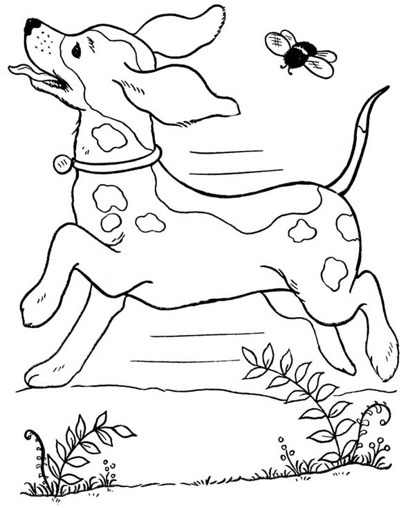 600x734 Dog Running Wild With A Bee Coloring Page Color Luna