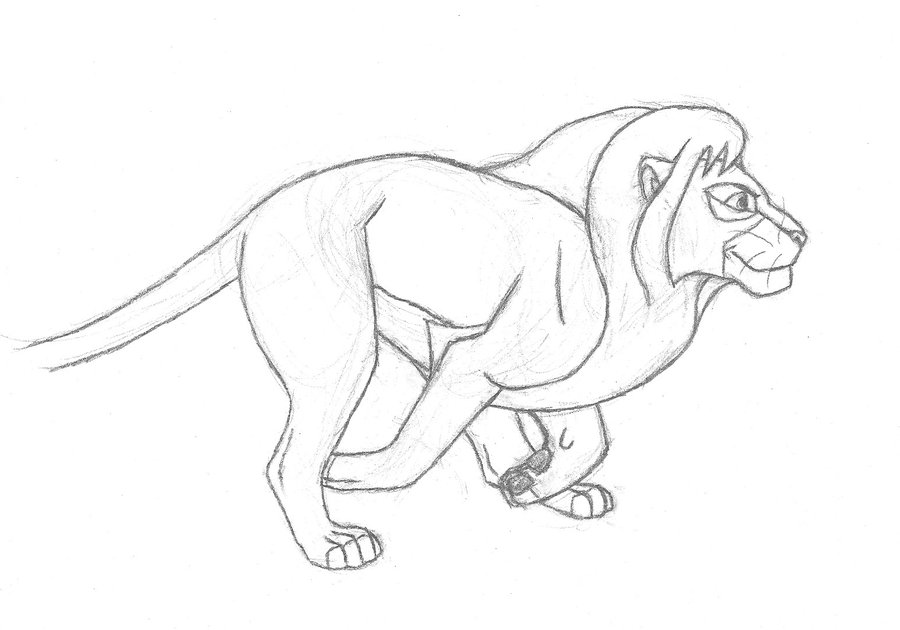 900x630 Simba Running Sketch By Silvanatheverdant