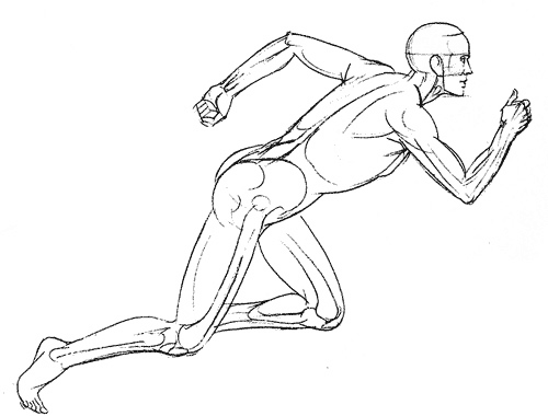 500x380 Anatomy Figure In Motion Painting And Artists