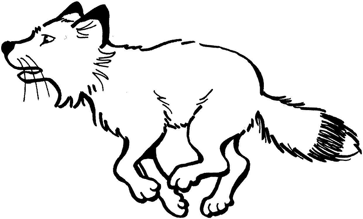 1241x750 Running Fox Coloring Pages