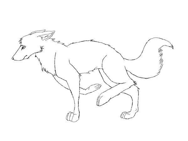 Running Fox Drawing at GetDrawings | Free download