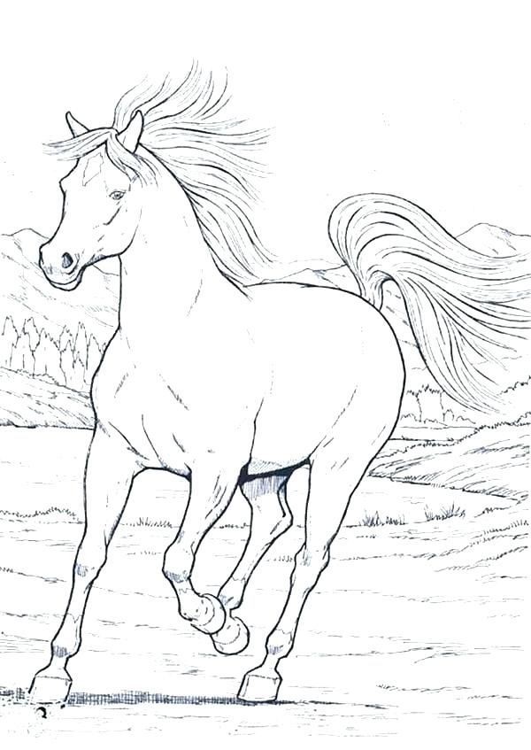 Running Horse Drawing at GetDrawings | Free download