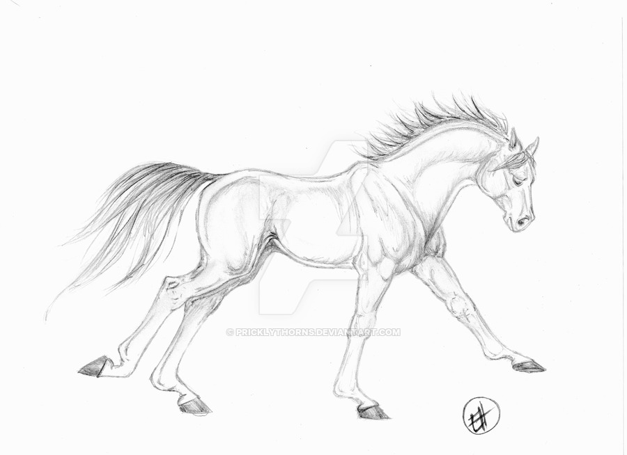900x654 Running Horse Sketch By Pricklythorns