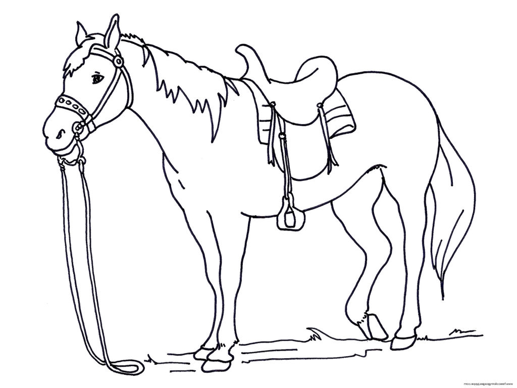 1024x768 Horse Pictures To Coloring Pages Horse Pictures To Coloring Pages