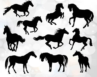 340x270 Horse Svg Etsy