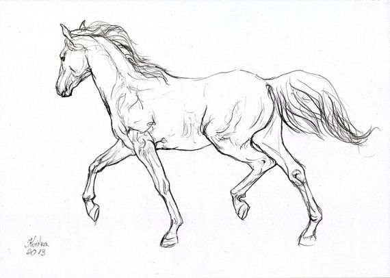 Running Horse Line Drawing at GetDrawings | Free download