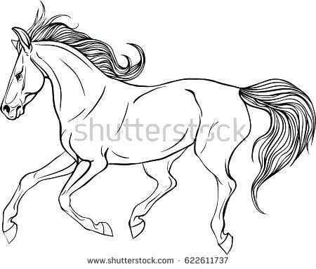 450x384 Running Horse Coloring Pages Adult Coloring Page For Art Therapy