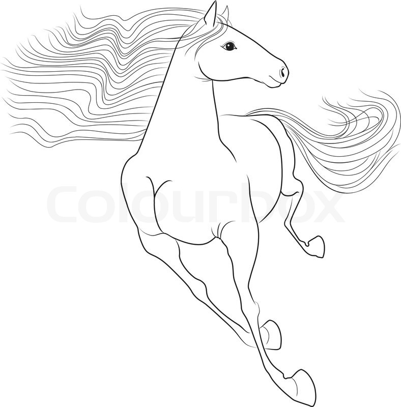 788x800 Silhouette Of A Running Horse. The Symbol Of The Coming Year