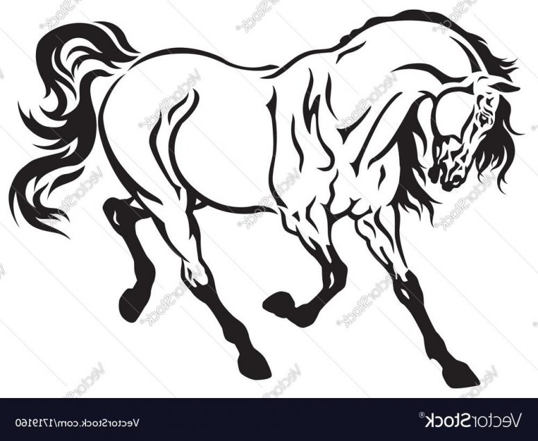 Running Horse Line Drawing at GetDrawings | Free download