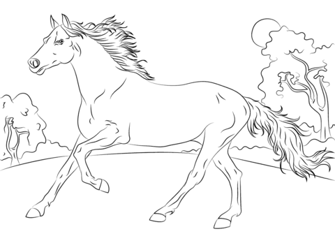 480x358 Running Arabian Horse Coloring Page Free Printable Coloring Pages