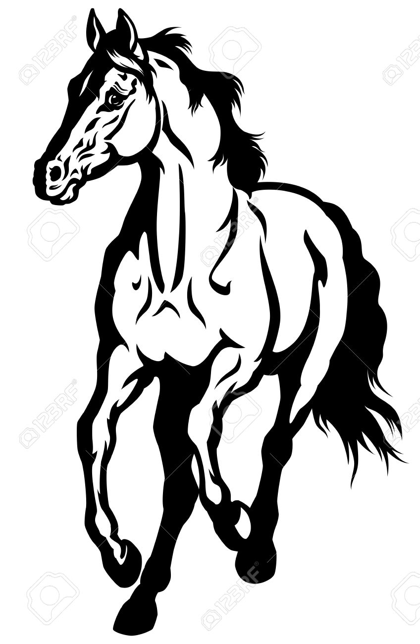 848x1300 Running Horse Front View Black And White Image Royalty Free